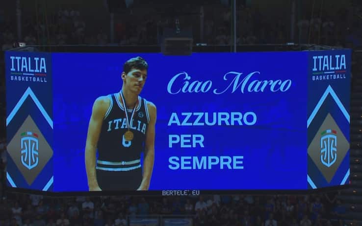 PalaDozza, Marco Bonamico
